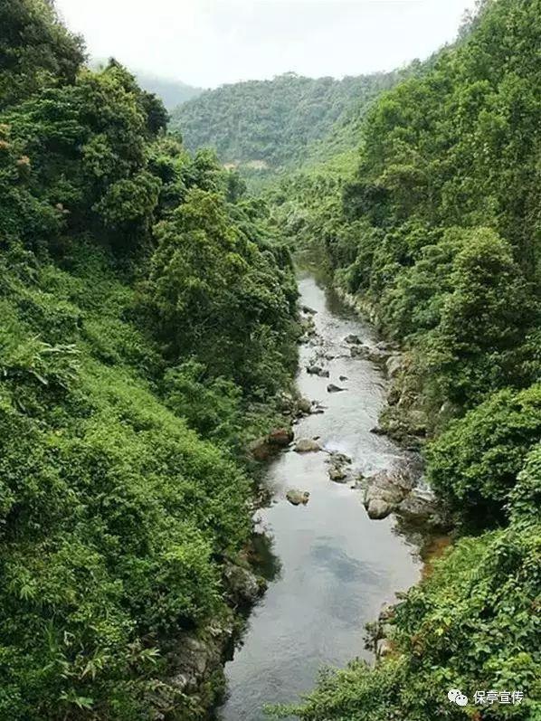 中国象棋速测吧